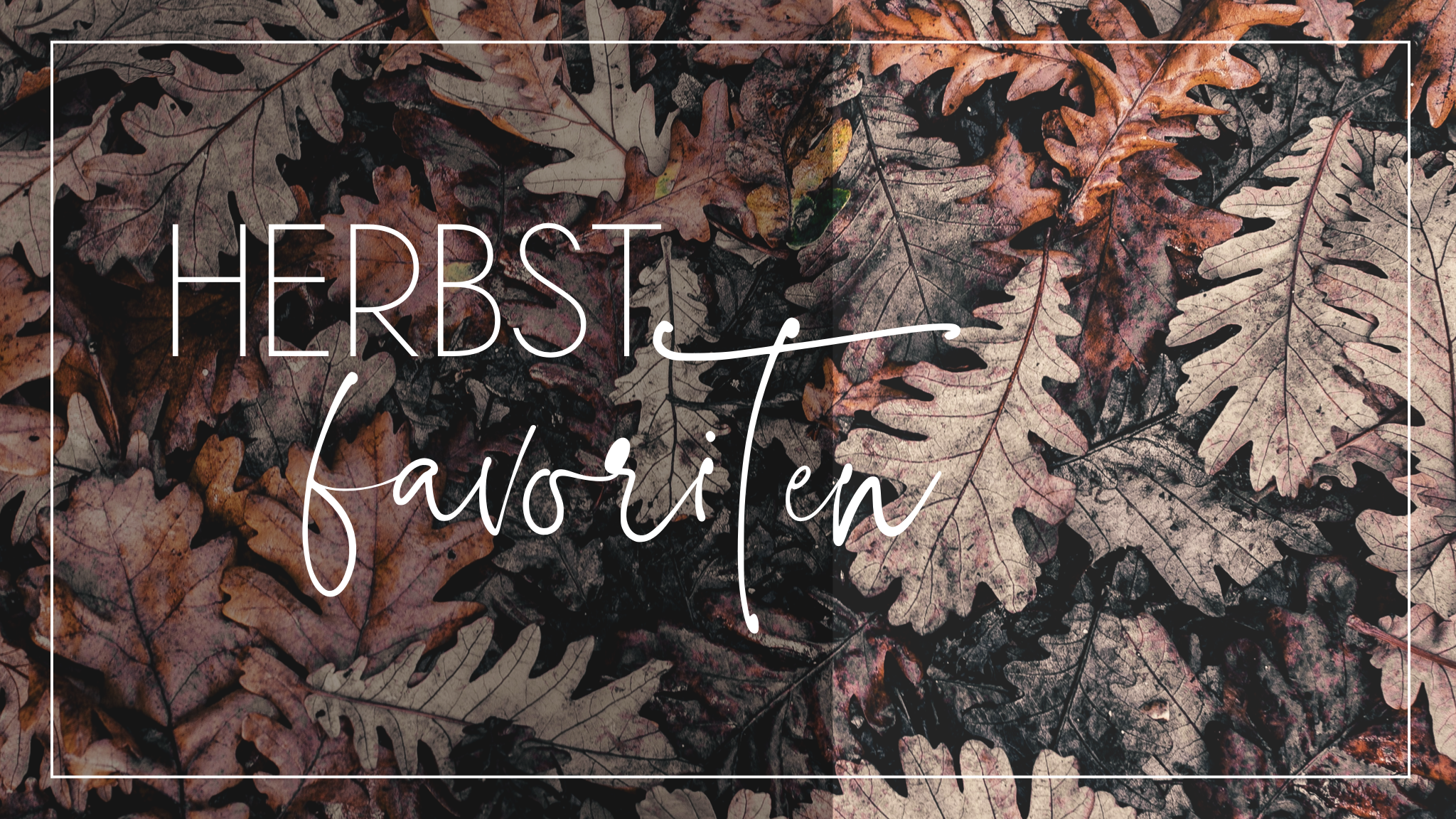 JETZT neue Kollektion Herbst/Winter shoppen!
