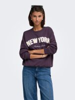 Sweatshirt Mesa